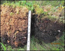 Permafrost Pic1