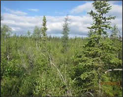 Permafrost Pic2 landscape