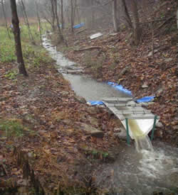 Wetlands & Stream Pic