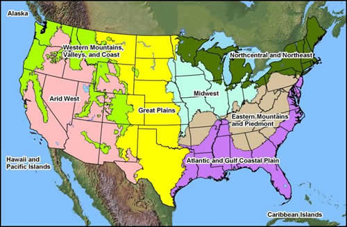 Wetland Delineation Map